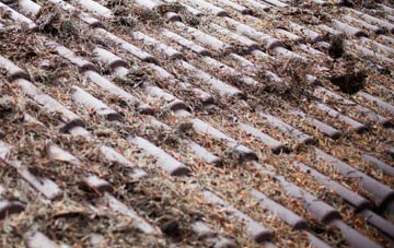 Brickhill roof cleaning companies